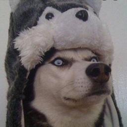 Greer David David Greer Github - Ocean Photo Collection - Retina Quality