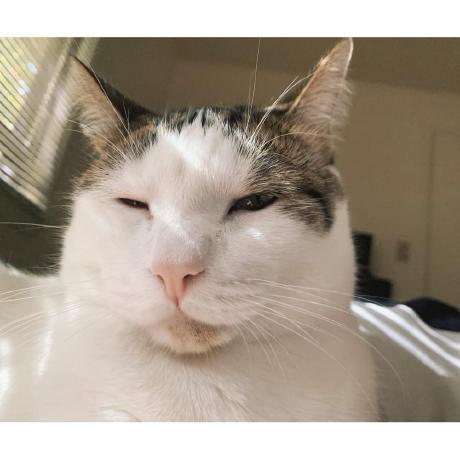 Wwl Engineering Github - Best Abstract Patterns in 8K