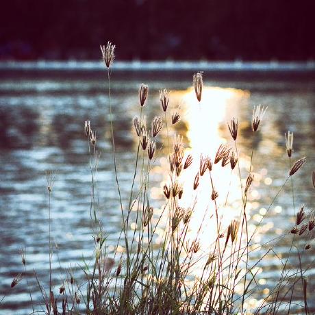 Kysiu404 Krzysztof Github - Premium Light Wallpaper Gallery - Mobile