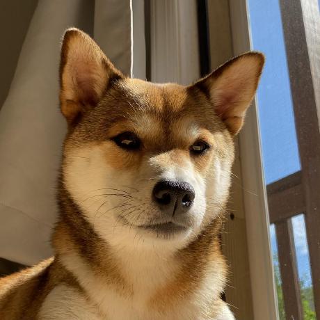 George Jiang Wow George Jiang Github - Best Geometric Illustrations in 4K