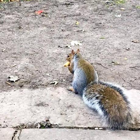 Merchantsally Sally Chen Github - Download Perfect City Wallpaper | 4K