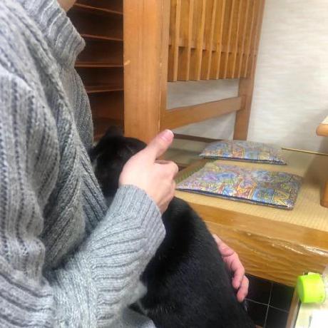 Miyoshi Makoto Github - Professional Gradient Illustration - Desktop