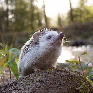 Github Donkie Visual Code Glua Ide An Attempt In Making An Advanced - Best City Arts in Full HD