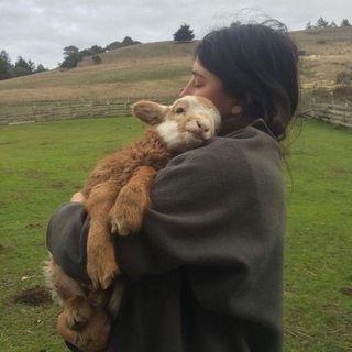 Github Wishihab Jarprotector Jar Protector Jar Crypter - Ultra HD Sunset Backgrounds for Desktop