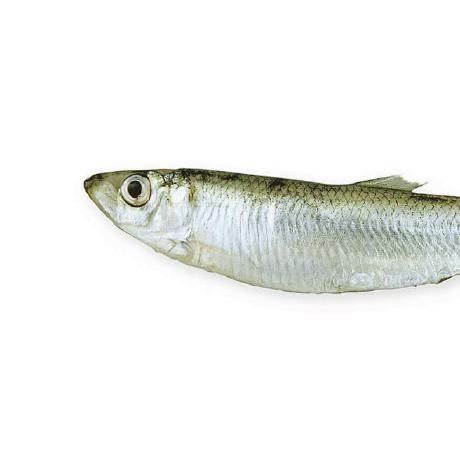 Github Mickdarkstar Luggage Organizer Poc - Download Amazing Colorful Image | High Resolution