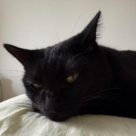 Github Leongdong Differentiable Distance Map Differentiable Distance - Best Minimal Wallpapers in Desktop