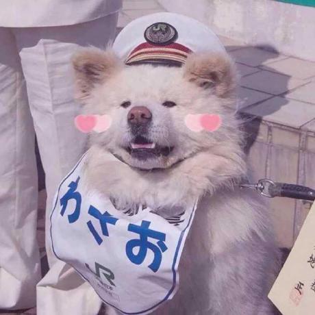 Github Eyelicy Vue Scale Box - Best Light Photos in 8K