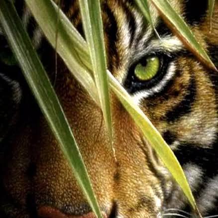 Decalke100 Cell Github - Dark Photo Collection - Full HD Quality