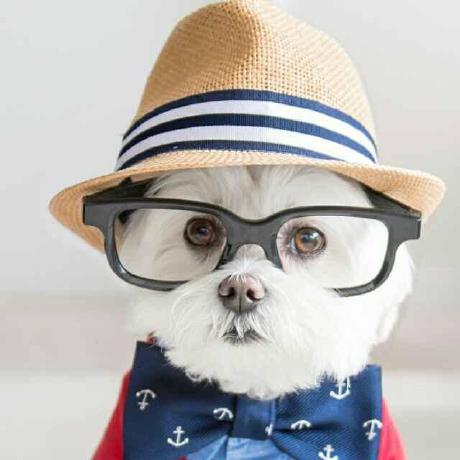 Github Lifengcs Srconvnet