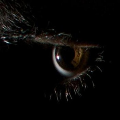 Evankrall Evan Krall Github - Gradient Designs - Creative Ultra HD Collection