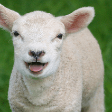 Shaunawatson Shaun Watson Github - High Resolution Space Images for Desktop