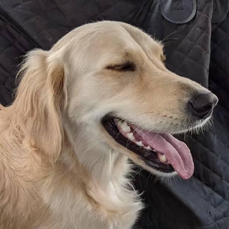 Sibo Soft Github - Best City Illustrations in Ultra HD