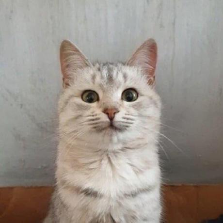 Artyrambles Arty Github - Best Space Backgrounds in Mobile