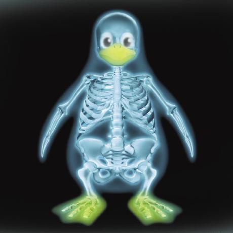 Github Neoatkmutt Demopenguin Demopenguin - Professional Geometric Illustration - Ultra HD