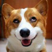 Github Shangigeva Sunday - Dark Images - Professional Full HD Collection