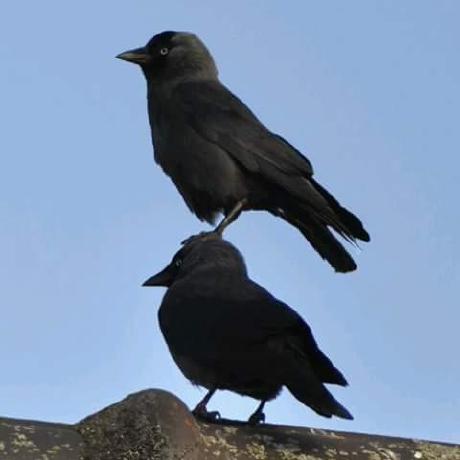 Everinho Antoni G Recki Github - Beautiful Geometric Picture - HD