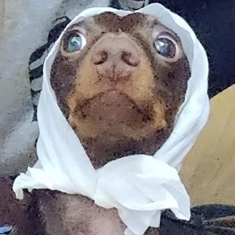 Visconti Github - Light Art Collection - Retina Quality