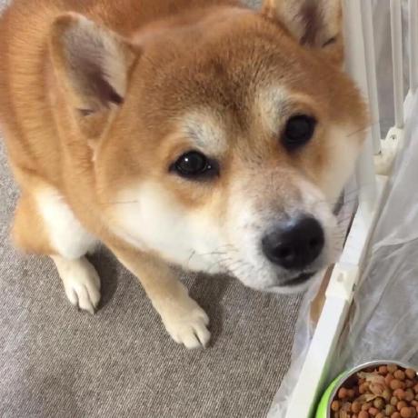 Juneitei Damao Github - Best Space Pictures in Desktop