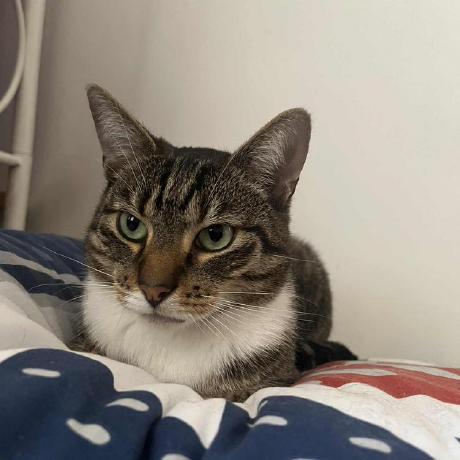 Remigiusz Github - Space Art Collection - Desktop Quality