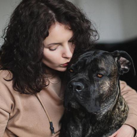 Goraklaudia Klaudia Github - Download Stunning Sunset Wallpaper | 4K