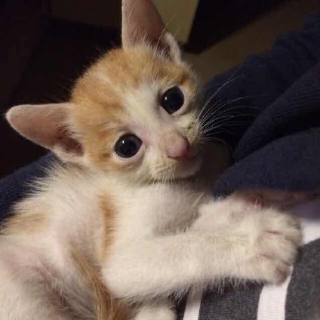 Liku Amare Liku Amare Github - Space Pattern Collection - Retina Quality