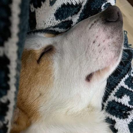 Github Zhoumingyi Modelobfuscator - Ocean Texture Collection - HD Quality