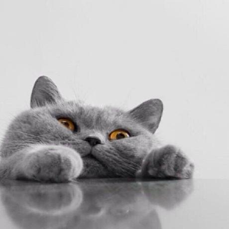 Github Mrbuchixiangcai Deeplearningsystem Ai - Premium Colorful Design Gallery - Desktop