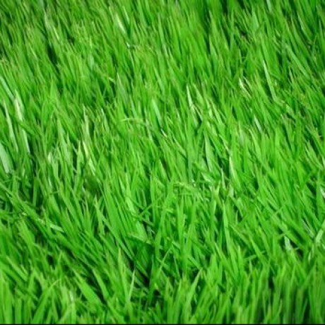 Benedikt92 Benedikt Github - Geometric Arts - Amazing 8K Collection