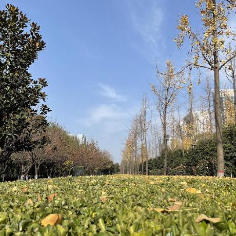 Ccbill303 Bill H Github - Landscape Wallpapers - Stunning Full HD Collection