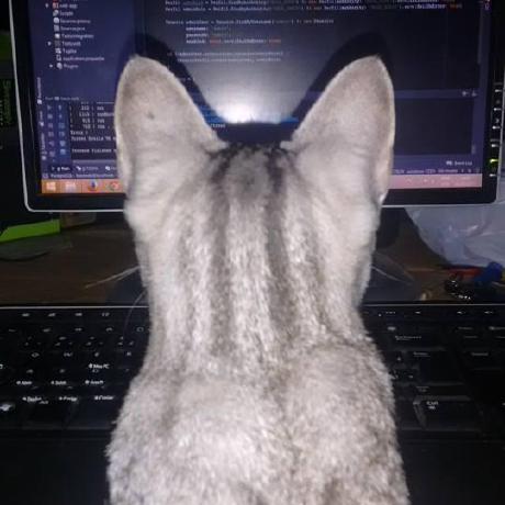 Rodrigogs Rodrigo Gomes Da Silva Github - Minimal Patterns - Stunning Ultra HD Collection