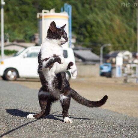 Wh Aurora Wanghui Github - Light Textures - Beautiful HD Collection