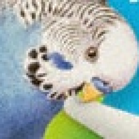 Armok Github - Abstract Background Collection - High Resolution Quality