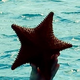 Granger Ai Github - Incredible Mobile Light Illustrations | Free Download