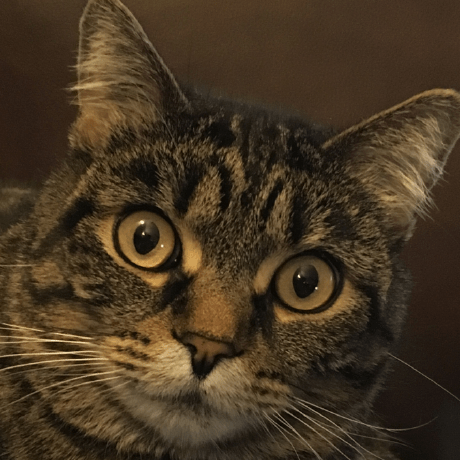 Sponsor Agg23 On Github Sponsors Github - Gradient Pictures - Ultra HD Mobile Collection