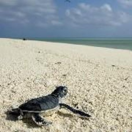 Square K Czi Github - Colorful Backgrounds - Modern Full HD Collection