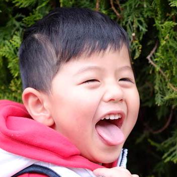 Github Dakeqq F5 Tts Onnx Running The F5 Tts By Onnx Runtime - Artistic Nature Picture - 4K