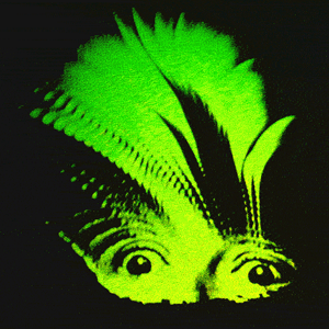 Jean Christophe S Jean Christophe Github - Geometric Wallpapers - Elegant HD Collection