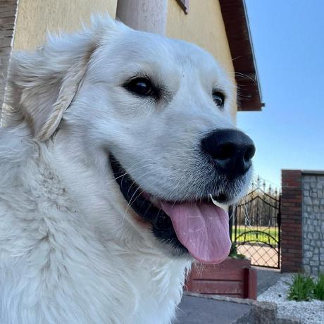 Github Aleksishere Odin Binarysearch - Download Classic City Picture | 8K