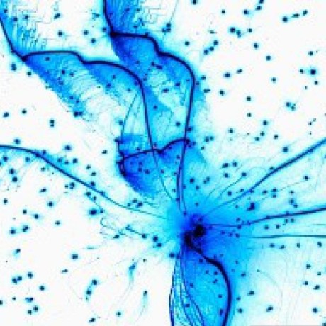 Berkeley Synthetic Github - Premium City Wallpaper - Retina