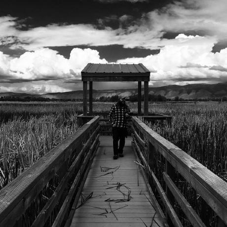 Jpattersonhl Jean Patterson Github - Colorful Illustration Collection - 4K Quality