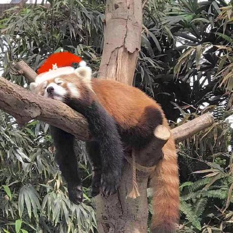 Berwin Github - High Quality HD Abstract Textures | Free Download