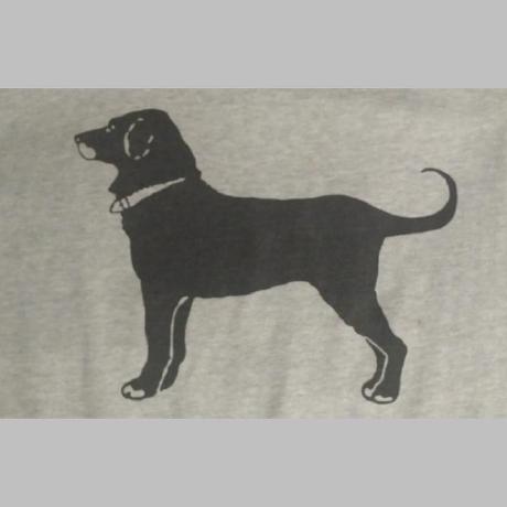 Carterwsheppard Carter Sheppard Github - Best Minimal Images in Retina