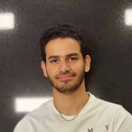 Amrgnegm Amr Negm Github - Colorful Arts - Professional Desktop Collection