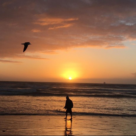 Sne Sa Sinethemba Bushula Github - Nature Photo Collection - Ultra HD Quality