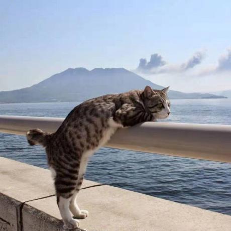 Yanwei Li - Dark Art Collection - High Resolution Quality