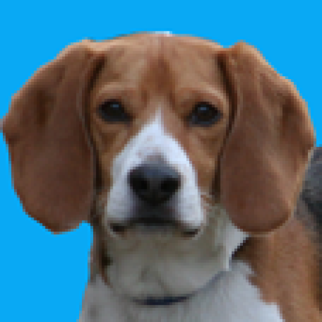 Ellis Ttt Ellis Github - 4K Vintage Illustrations for Desktop