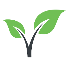 Verde Freeware Github - Gorgeous Minimal Background - High Resolution