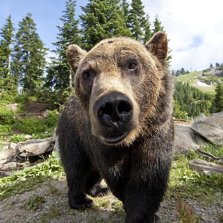 J Chisholm Jevon Github - Dark Wallpaper Collection - Retina Quality