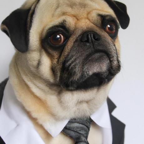 Igorradovanovic Igor Radovanovic Github - Best Minimal Illustrations in Desktop