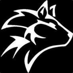 Voided Network Github - Best Sunset Pictures in High Resolution